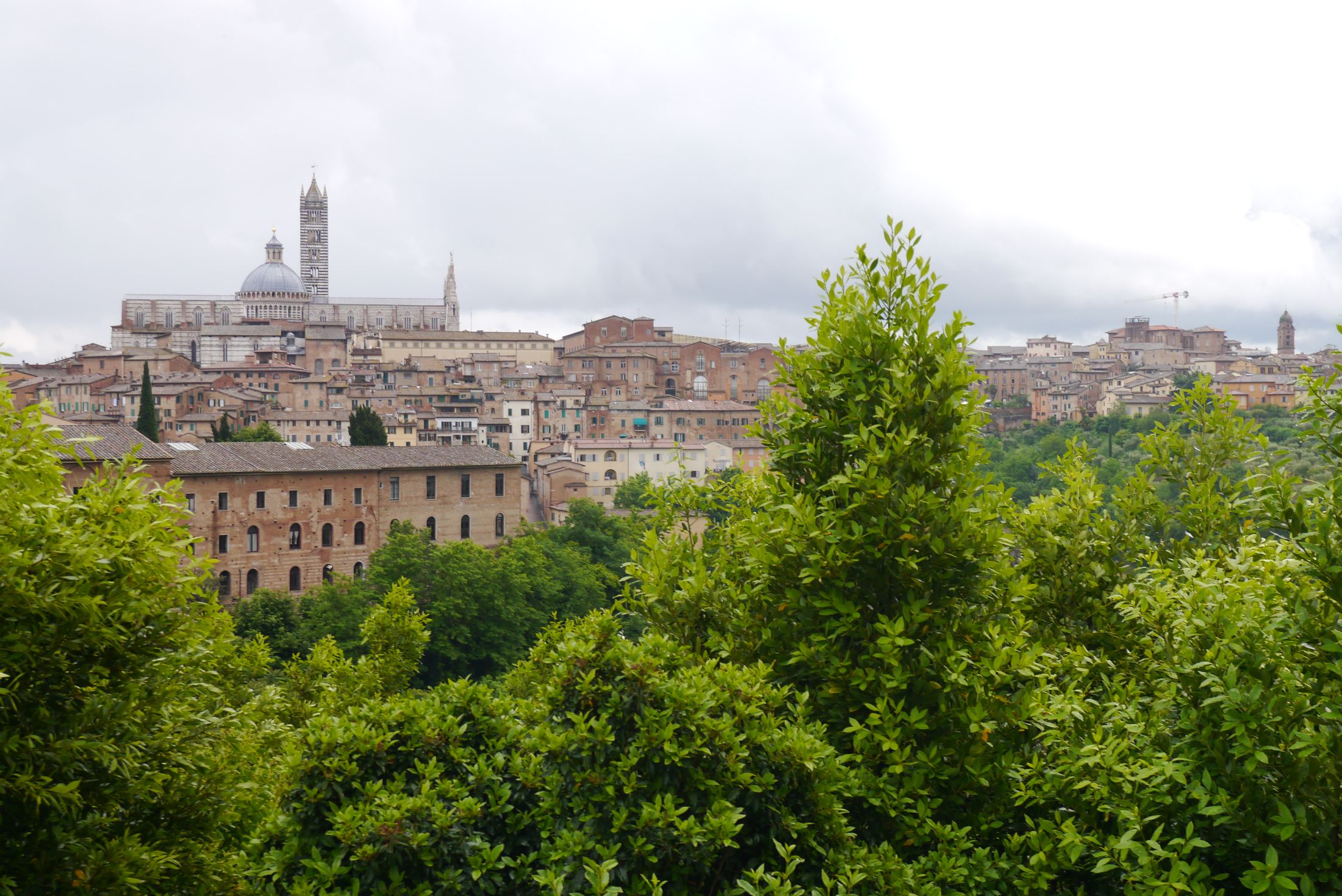 Blick auf die Altstadt von Siena