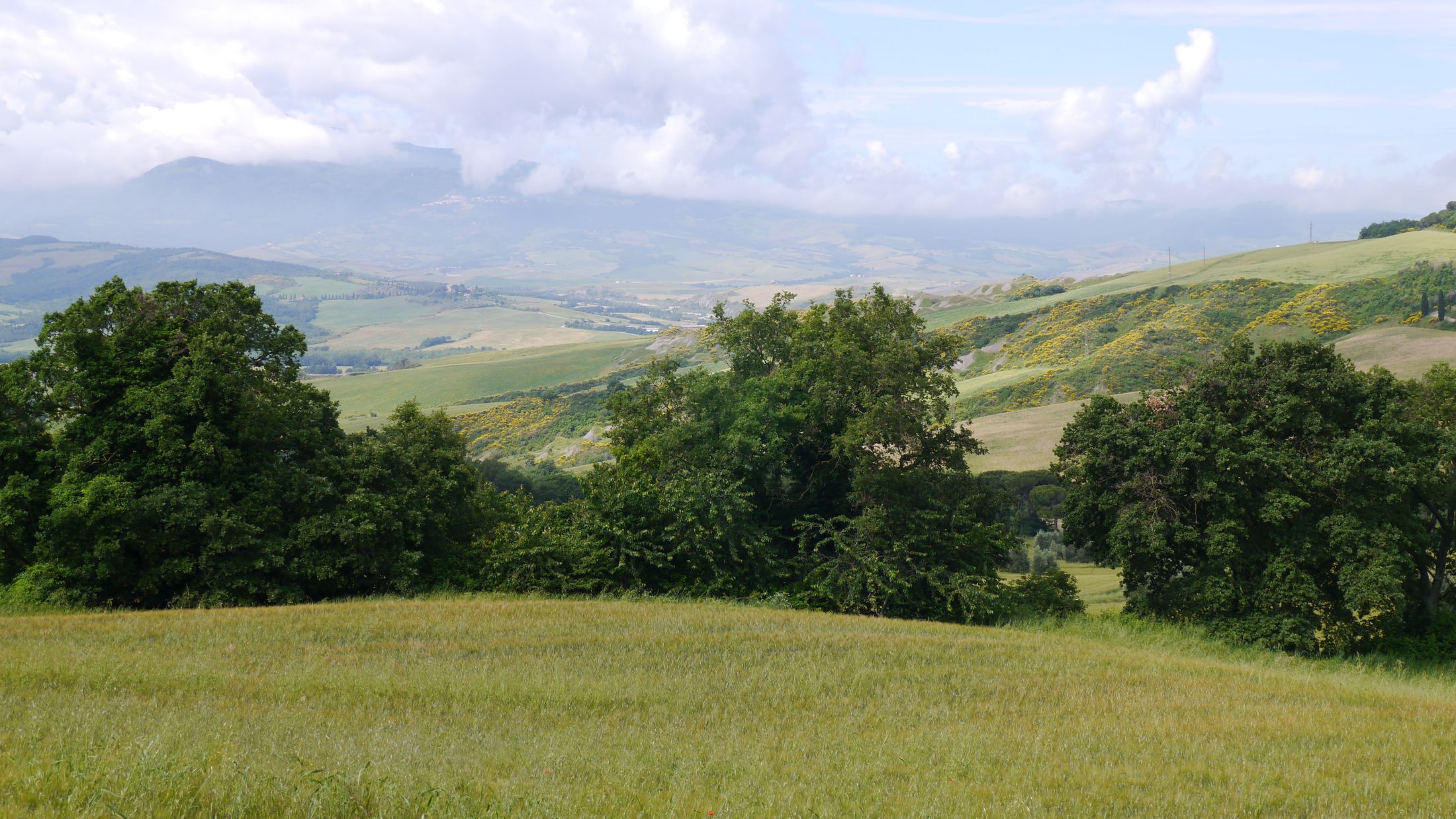 Landschaft um Radicofani