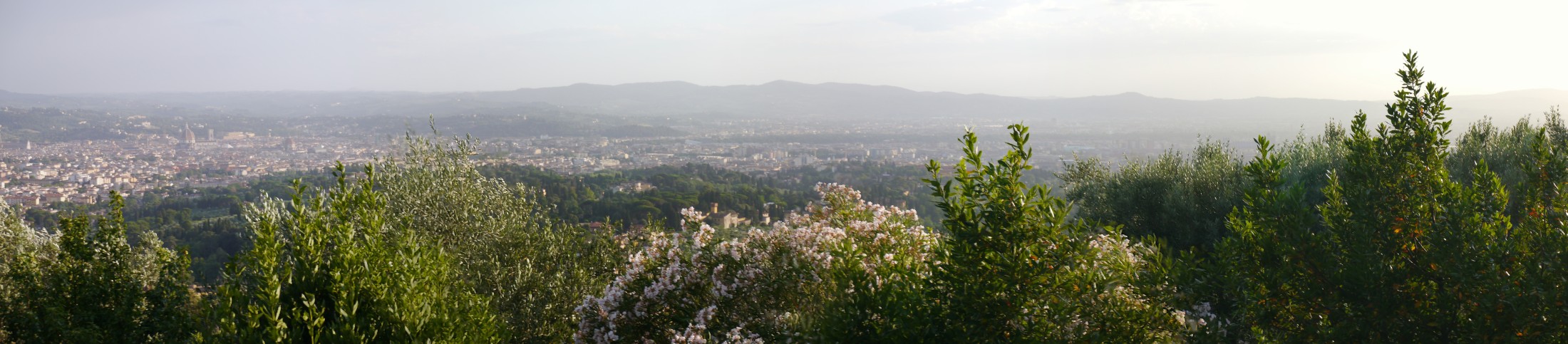 Blick auf Florenz