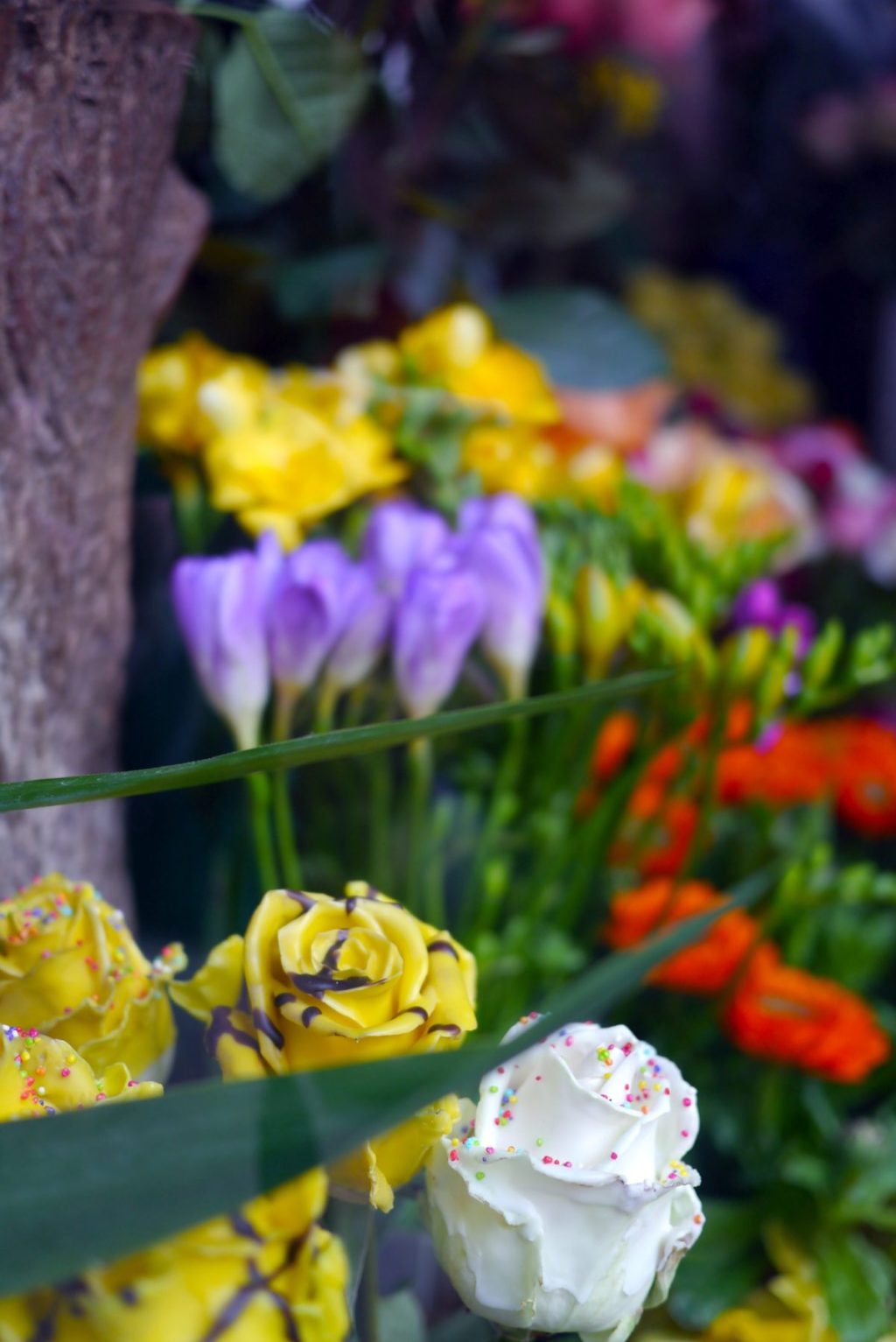 Schaufenster eines Blumenladens in Florenz