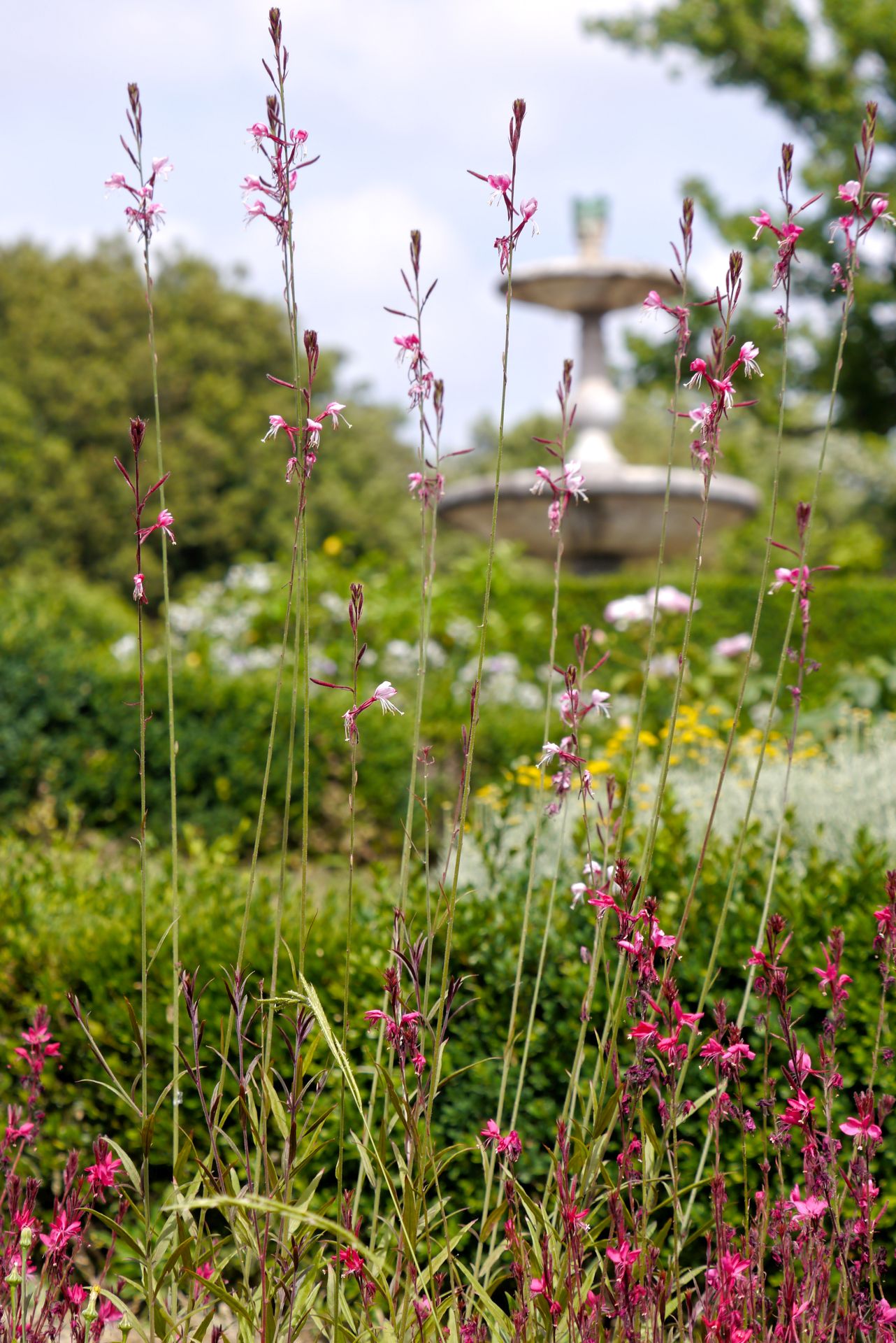 Dritte Terrasse des Gartens der Villa Medicea La Petraia