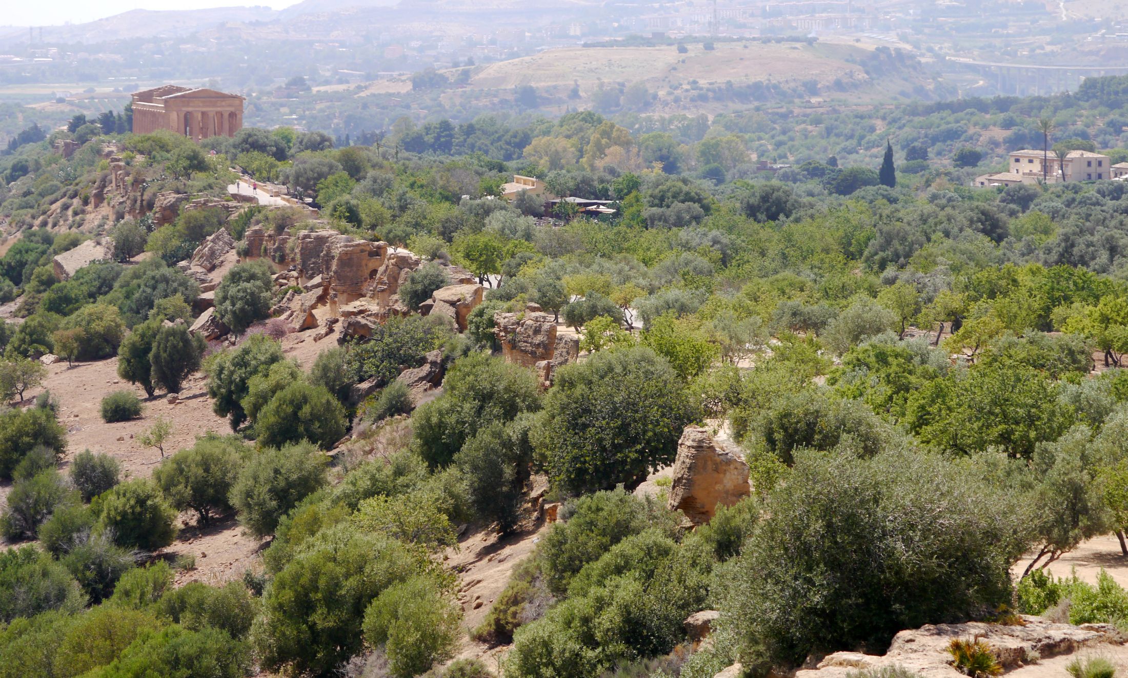 Blick über das "Tal der Tempel" in Agrigento zum Concordiatempel
