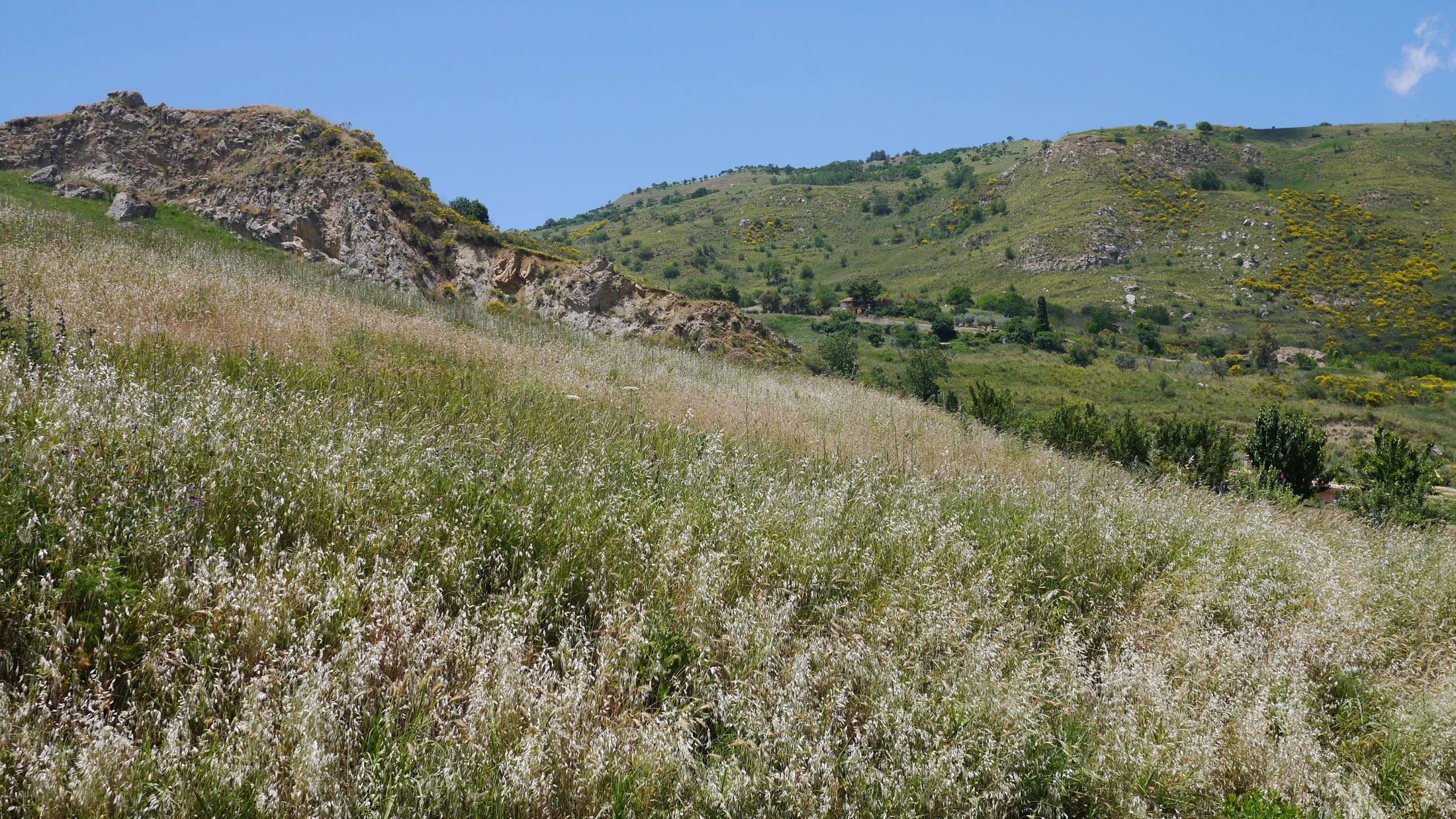 Landschaft im Zentrum Siziliens