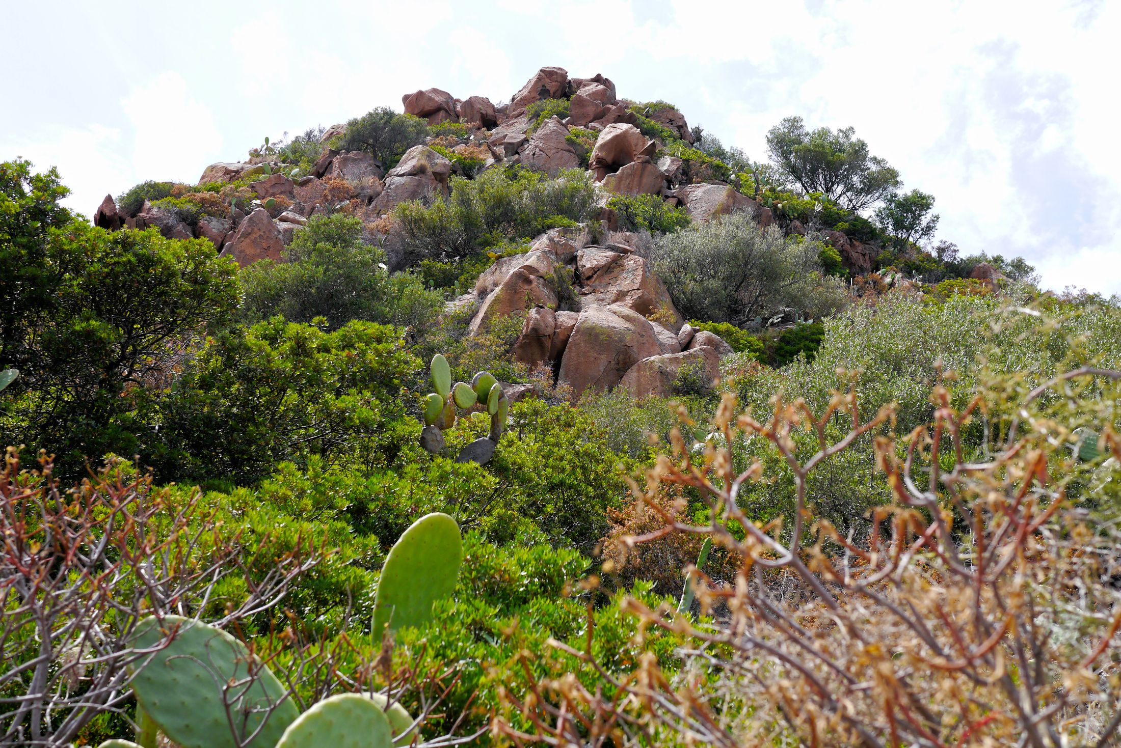 Landschaft auf Panarea